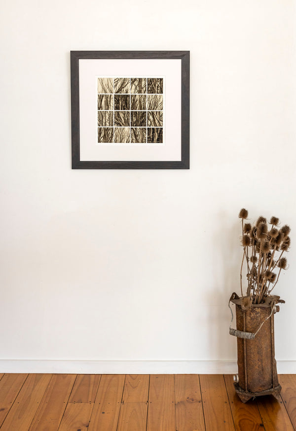 Framed Photographic Print - Trees at the Coal Pit Dam