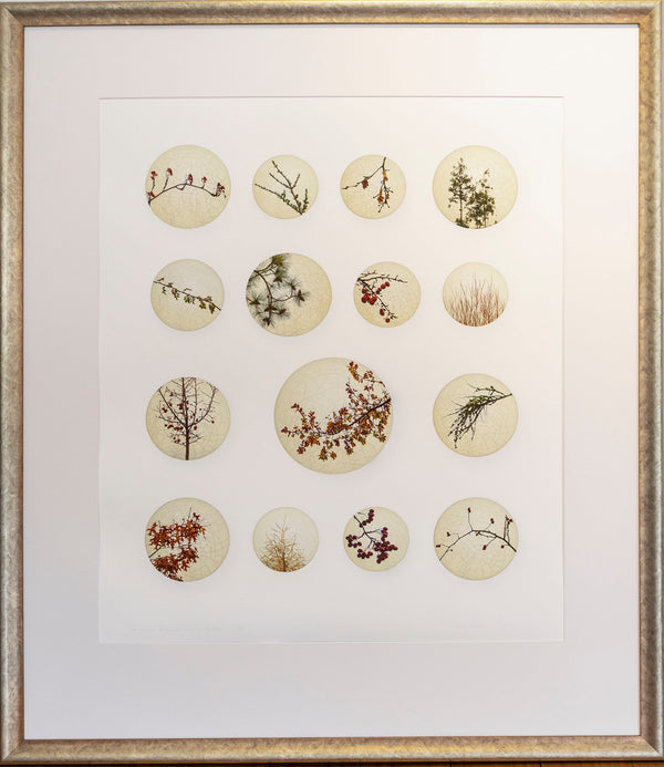 Framed fine art photograph depicting collection of circular porcelain satsuma buttons with various plants and foliage, arranged in a grid pattern.