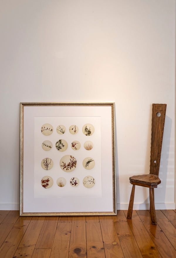 Framed fine art photograph depicting collection of circular porcelain satsuma buttons with various plants and foliage, arranged in a grid pattern.