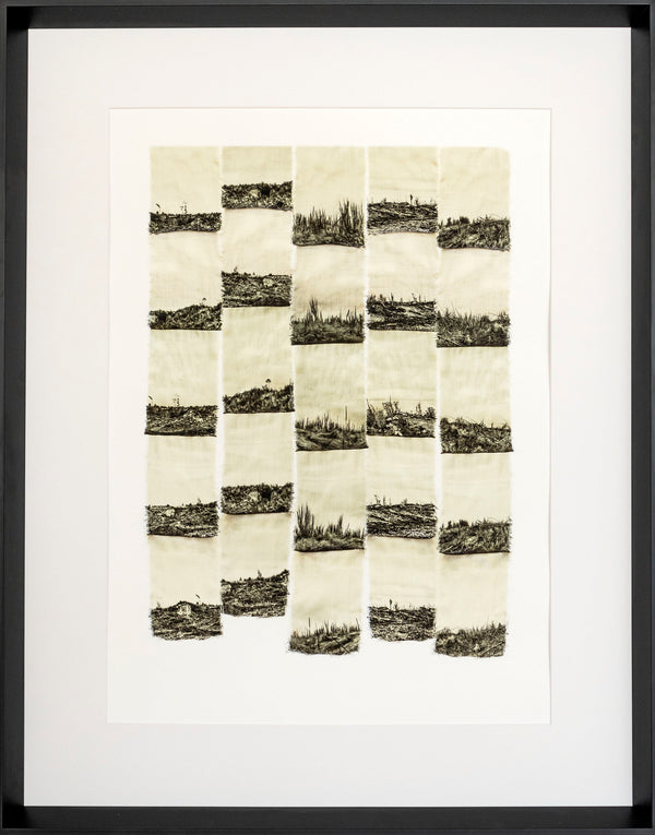 Limited edition fine art photographic print - tapestry of a fallen forest with black framing