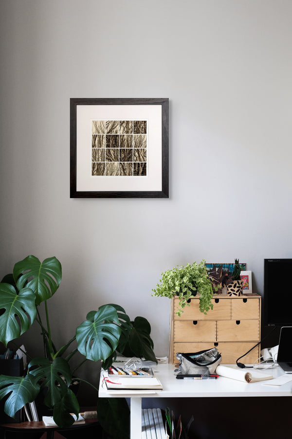 Framed Print - Trees at the Coal Pit Dam