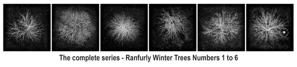 Limited Edition Photographic Print - Ranfurly Winter Trees #3