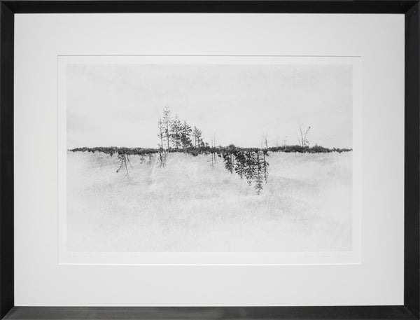 Black and white landscape with trees reflected, framed in black.