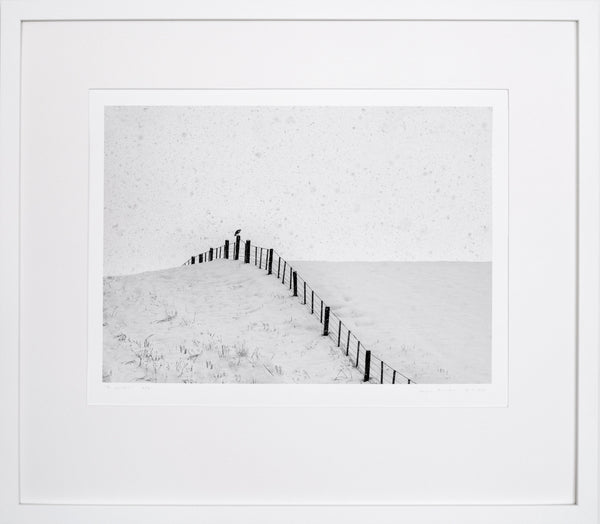 Framed black and white photograph of a bird on fence on a snowy landscape
