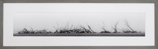 Set Aside, Near Patearoa