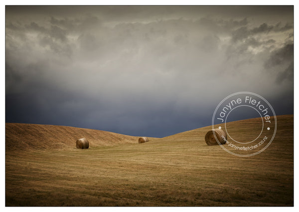 Framed Print - Hay Bales Channel Road