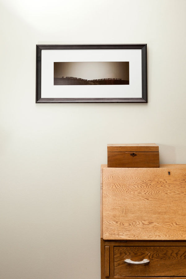 Framed Print - Cavalcade