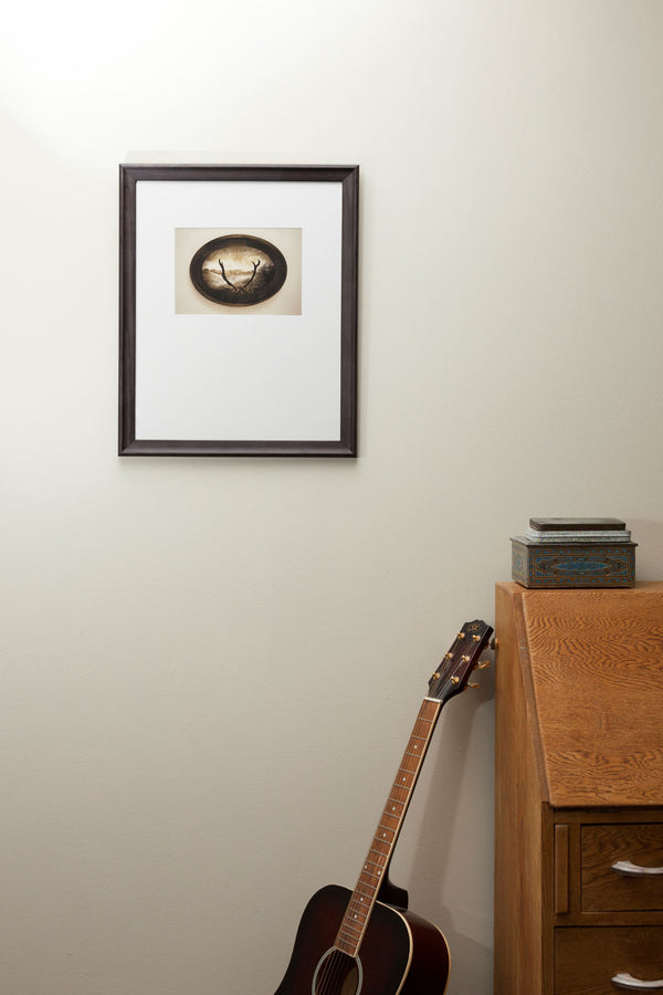 Framed Print - Fallen Monarch