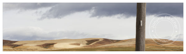 Framed Print - Power Pole, Poolburn, Central Otago