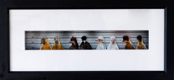 Framed Print - Chicks In Jail