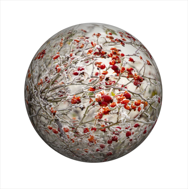 Limited Edition  Print - 2021 Landscape Spheres #8