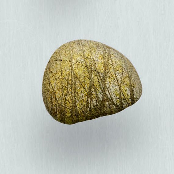Detail from Fine Art Photographic Print - A Dozen Stories