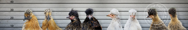 Framed Print - Chicks In Jail
