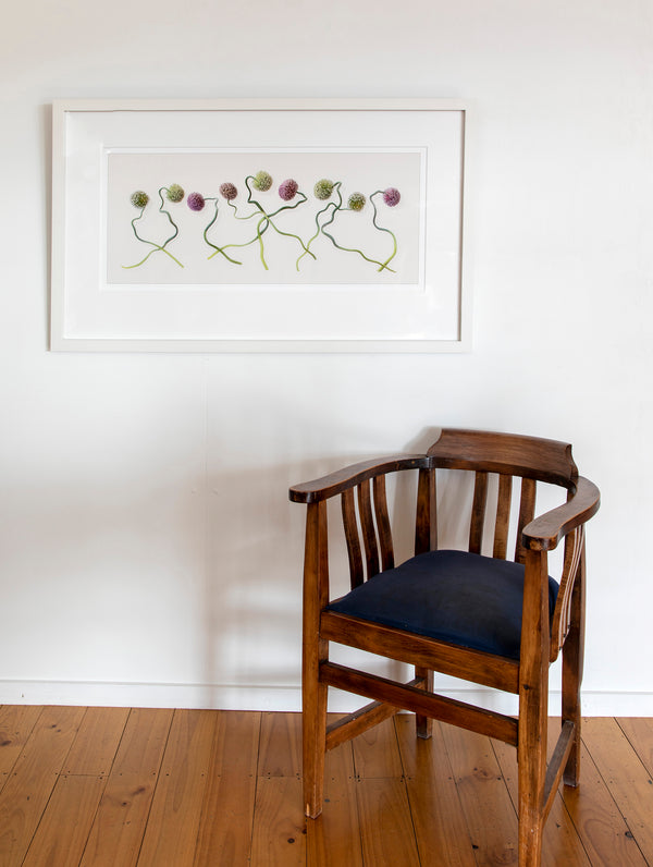 Limited Edition Framed Print - Entangled Allium