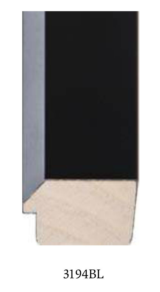 Black bevel frame for framing fine art photography by Janyne Fletcher photographer