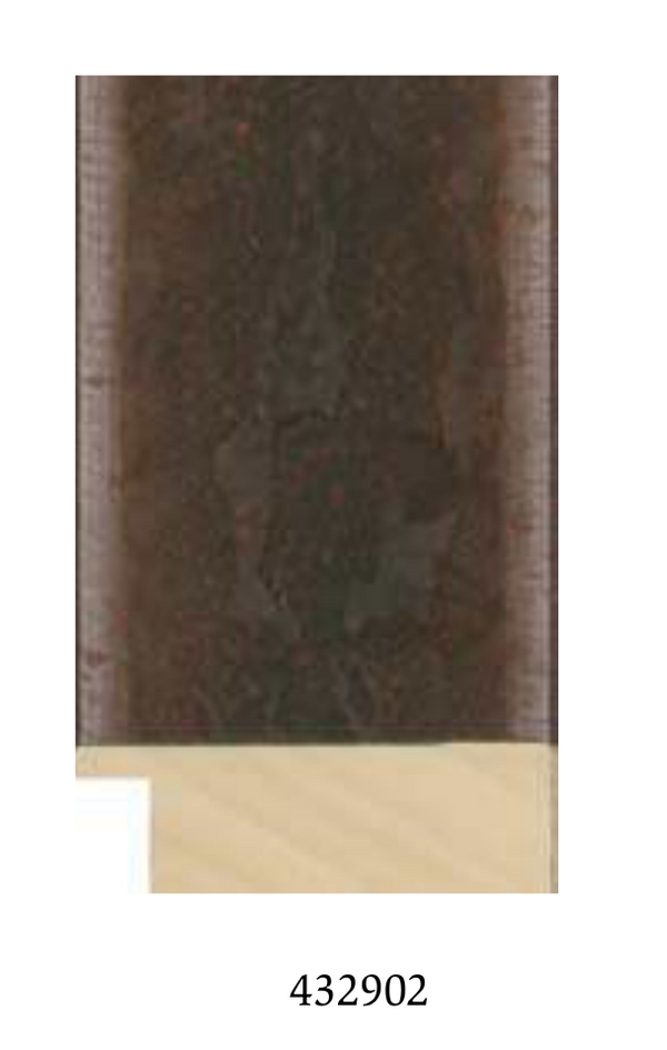 Limited Edition Framed Print - Artifacts of the Garibaldi II