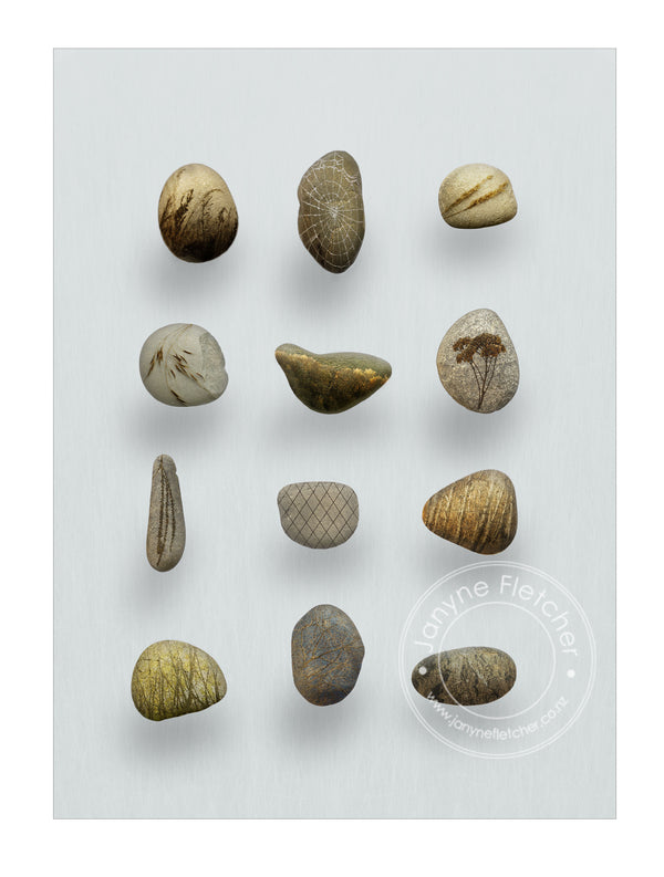 Framed Fine Art Photographic Print - A Dozen Stories