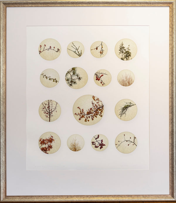 Limited Edition Framed Print - Maniototo Autumnal Satsuma Buttons