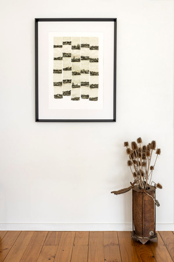 Limited Edition Framed Print - Tapestry of a Fallen Forest