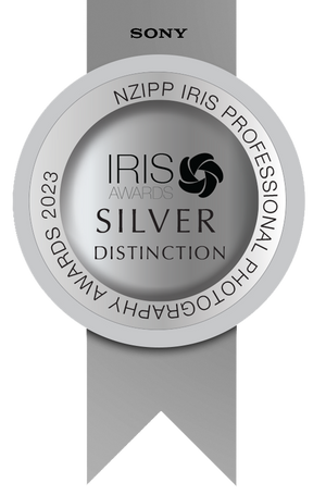 NZIPP Silver distinction award 2023