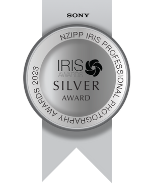 NZIPP Iris Awards - Silver Award