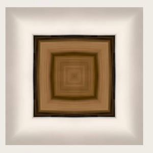 Detail from limited edition print titled 'Inbound Snow' featuring a geometric array of squares with varying shades of brown and white, designed to represent the effect of an incoming snowstorm.