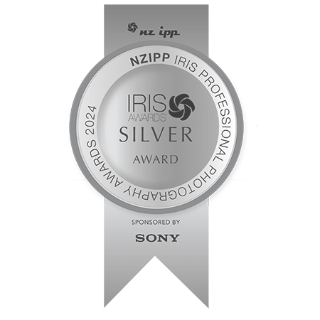 Framed Print - Aerial View of Snow Laden Trees