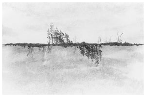 Black and white photograph of a landscape with trees.