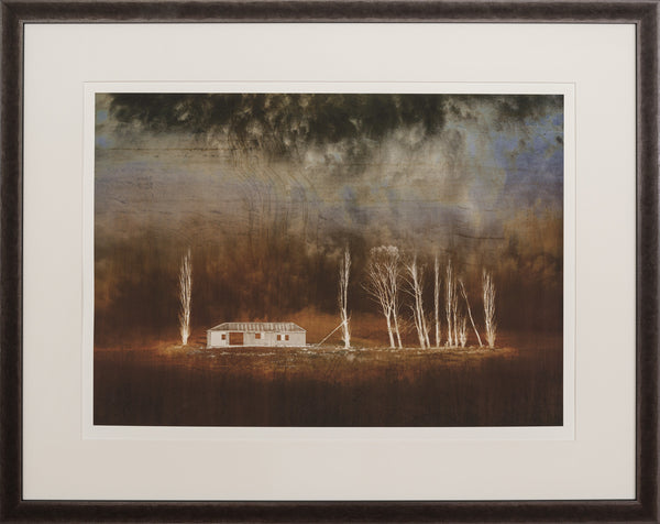 Framed Photographic Print - Still Standing, Puketoi