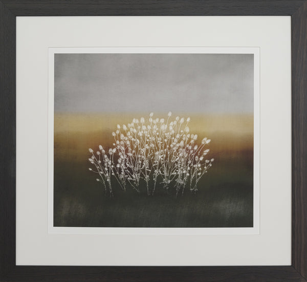 Framed Photographic Print - Gathered from Danseys Pass