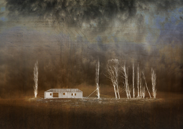 Framed Photographic Print - Still Standing, Puketoi
