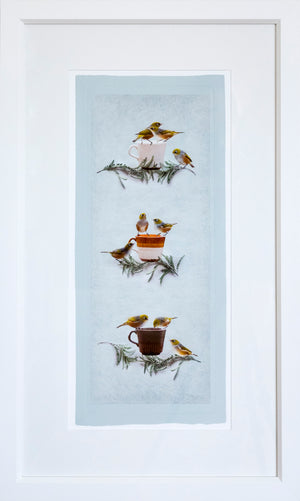 Framed Print - Waxeyes, Kowhai and Crown Lynn