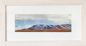 Framed Print - Tree at Chatto Creek