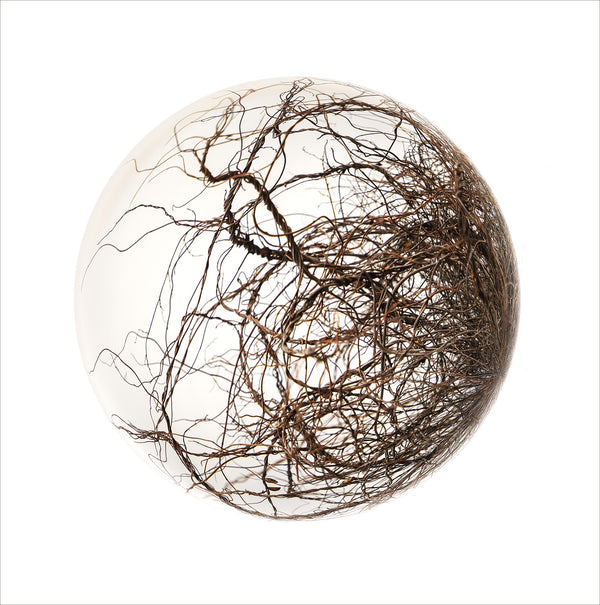 Limited Edition  Print - 2021 Landscape Spheres #2