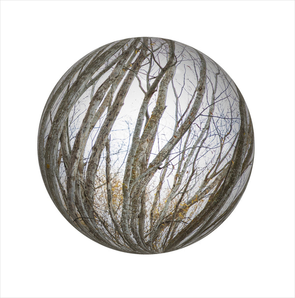 Limited Edition  Print - 2021 Landscape Spheres #7