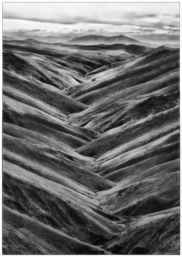 Unframed Print - Lauder Faces Abstract