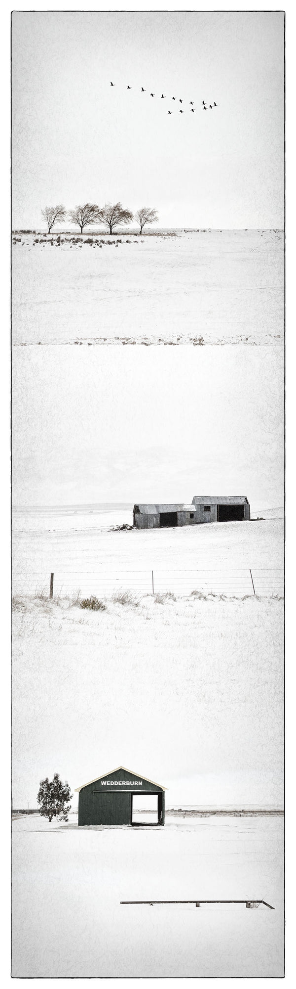 Unframed Photographic Print - Winter at Wedderburn
