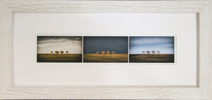 Framed Print - Trees at Wedderburn