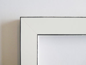 Framed Print - Silver Hawkduns