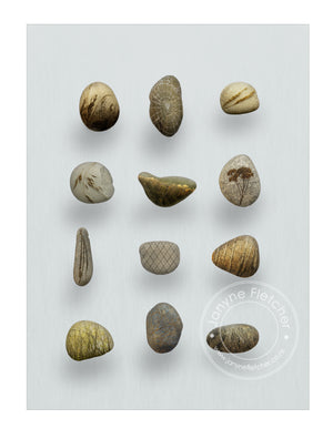 Framed Fine Art Photographic Print - A Dozen Stories